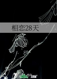 相戀28天